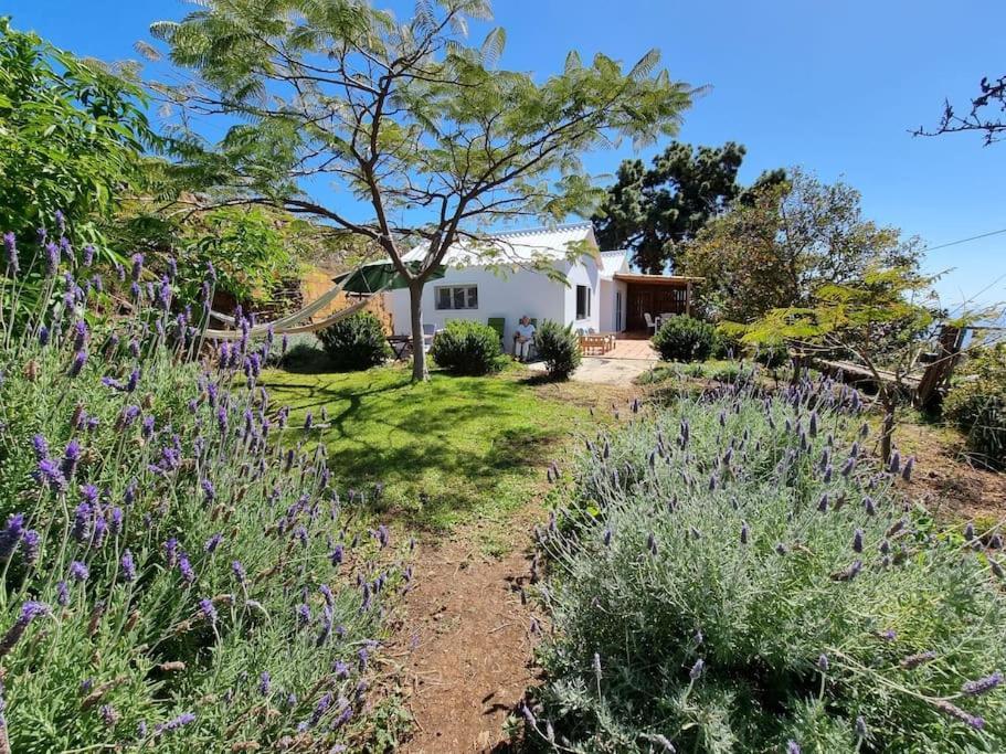 Casa Aram Lapalmahouse Villa ติคาราเฟ ภายนอก รูปภาพ